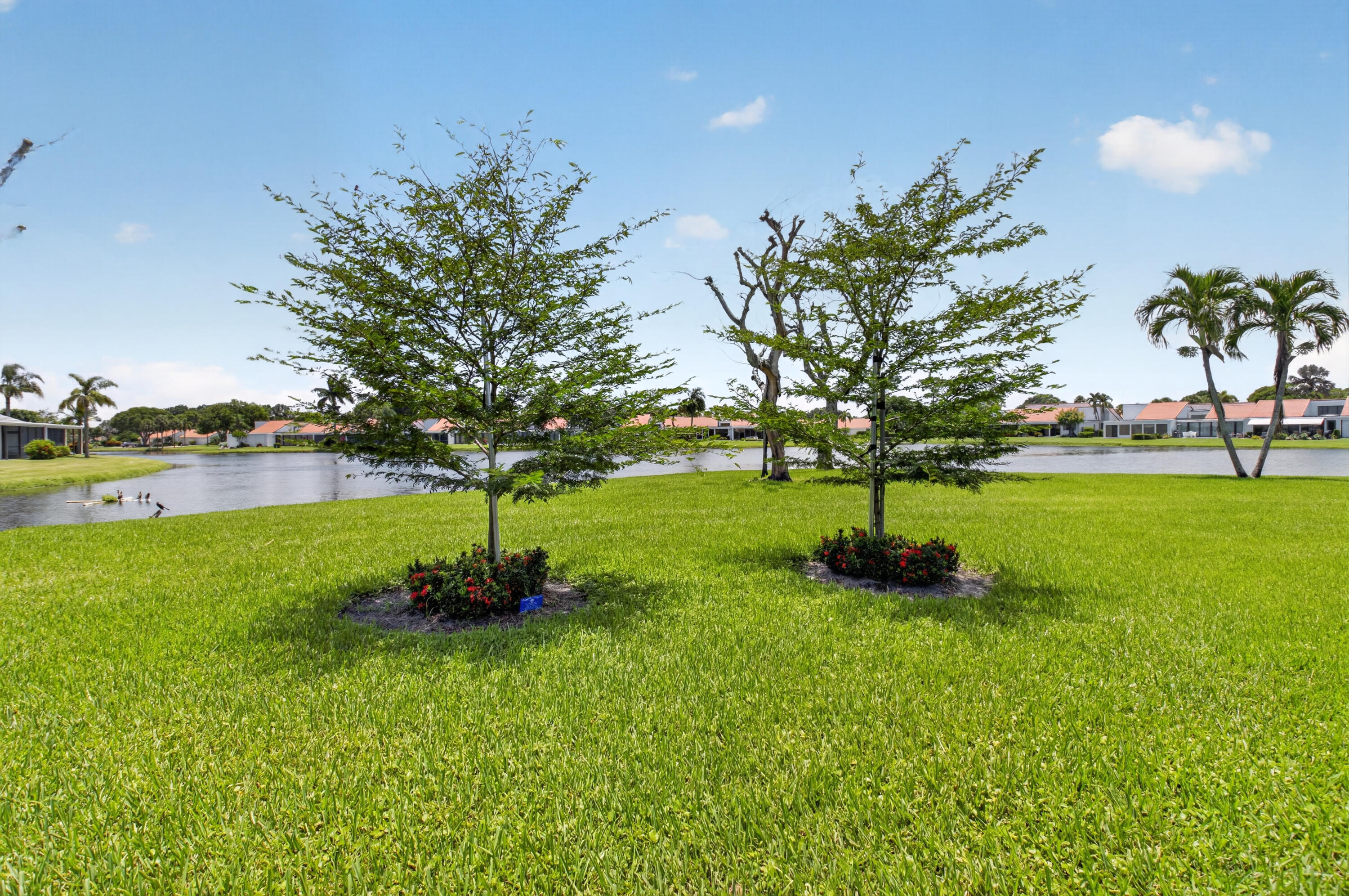 Peppertree - Residential