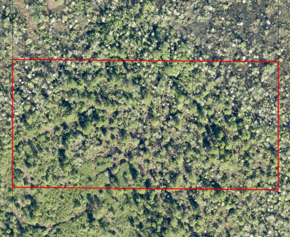 GS130 Green Swamp - Land