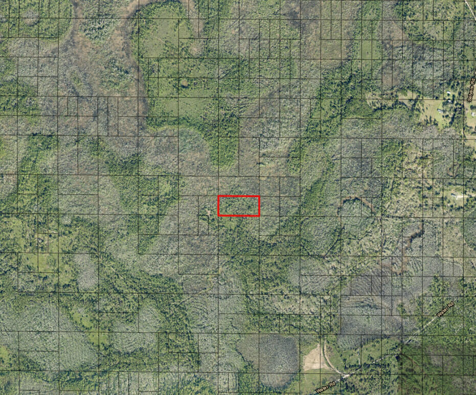 GS130 Green Swamp - Land