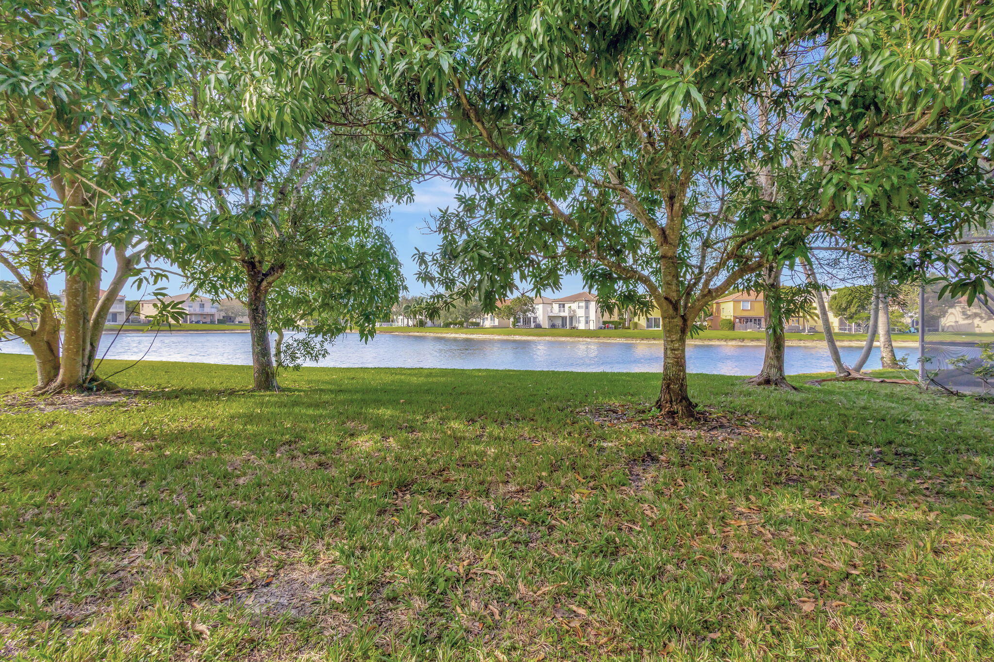 OLYMPIA 1 - Residential Lease