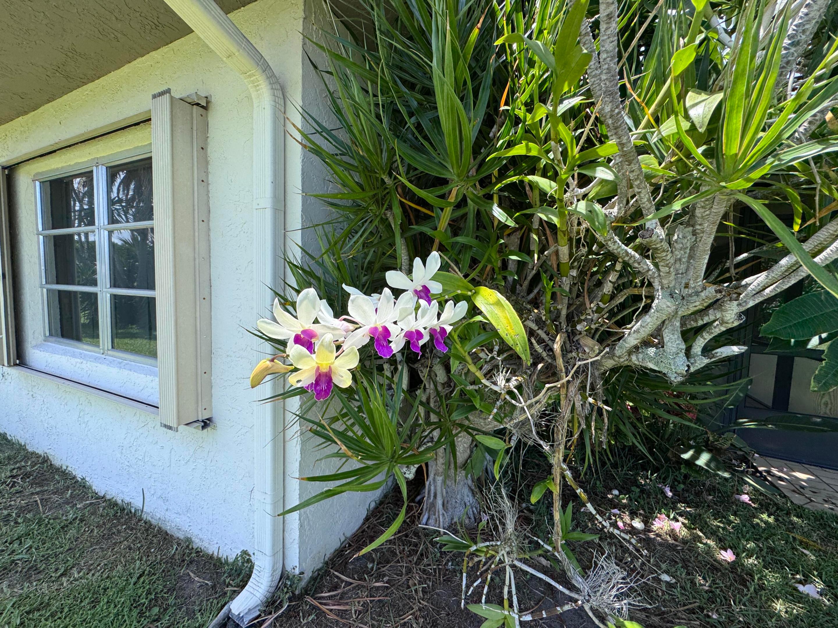 DELRAY VILLAS 5 - Residential