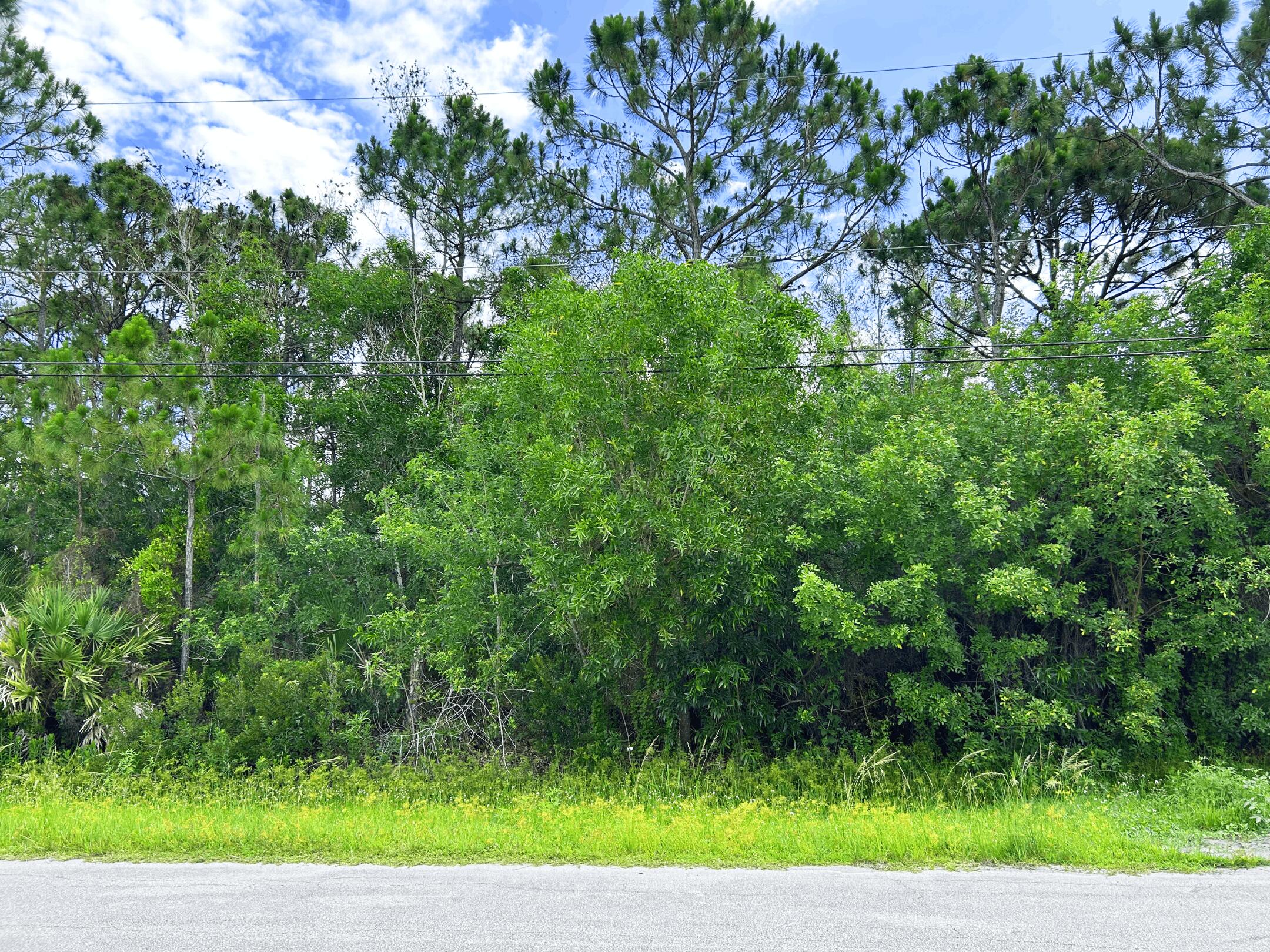 PORT ST LUCIE SECTION 47 - Land