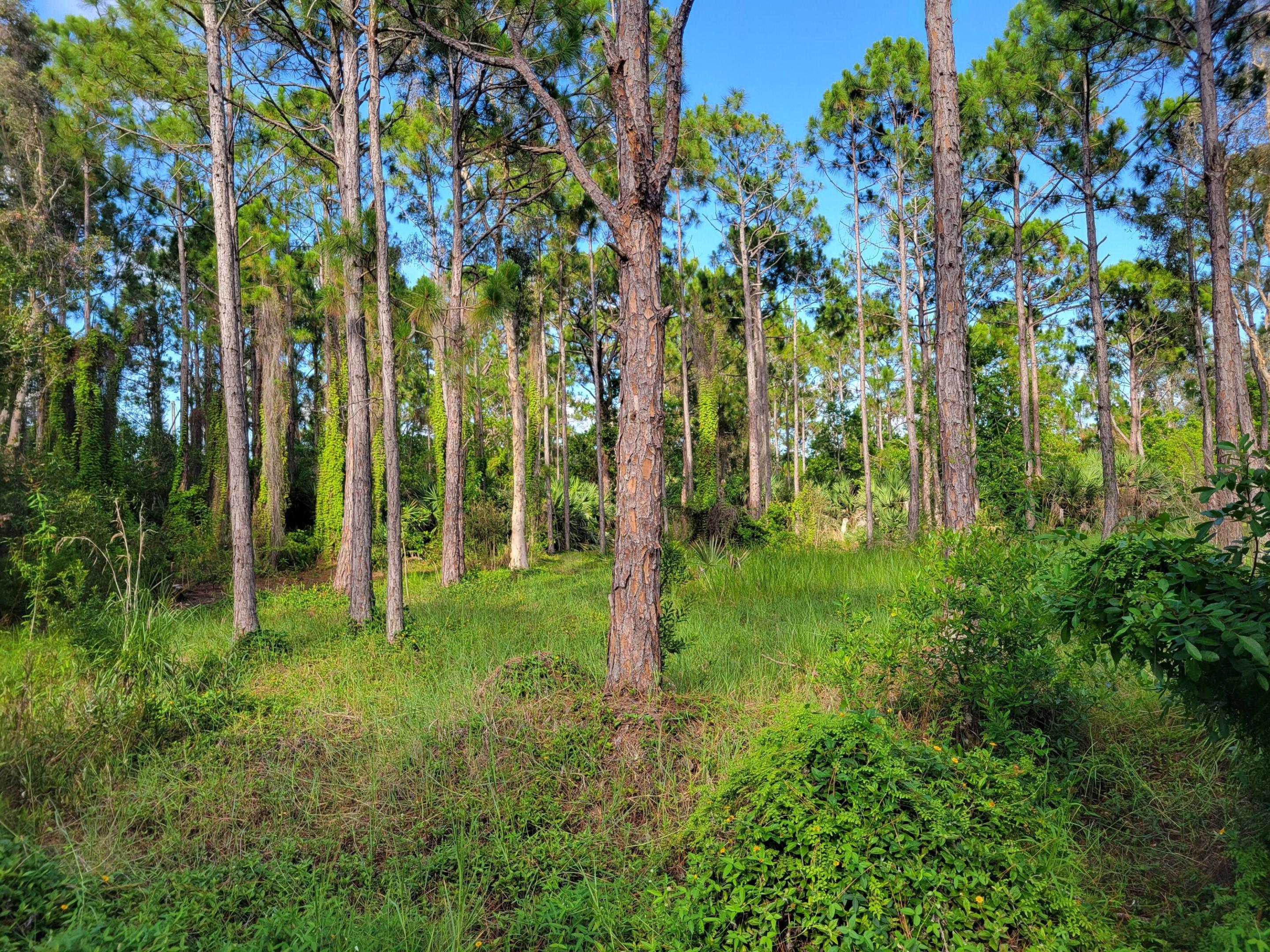 ST LUCIE GARDENS SUBDIVISION - Land
