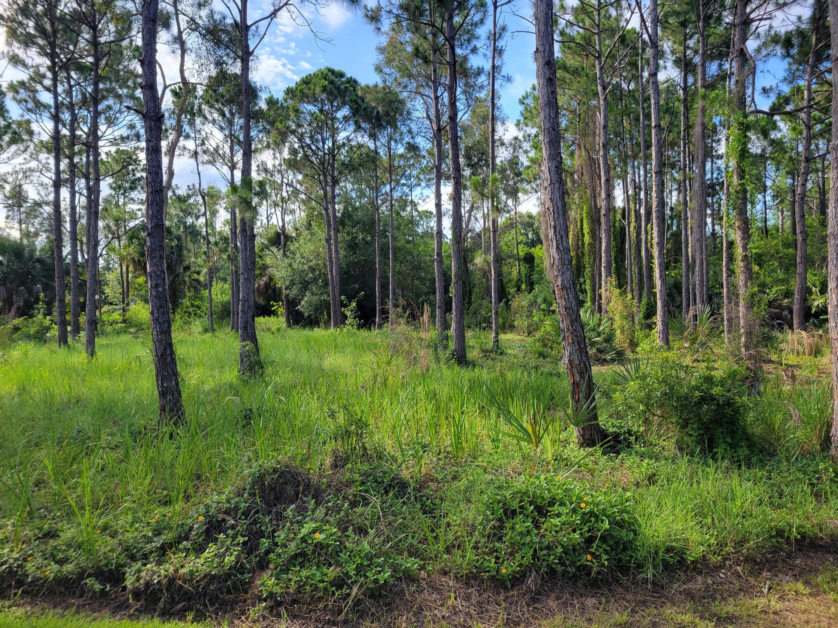 ST LUCIE GARDENS SUBDIVISION - Land