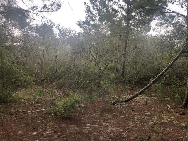Over an acre in Central Lake Estates with only $1,500 down. This wooded lot is a must see! Recreational, hunting and camping property
