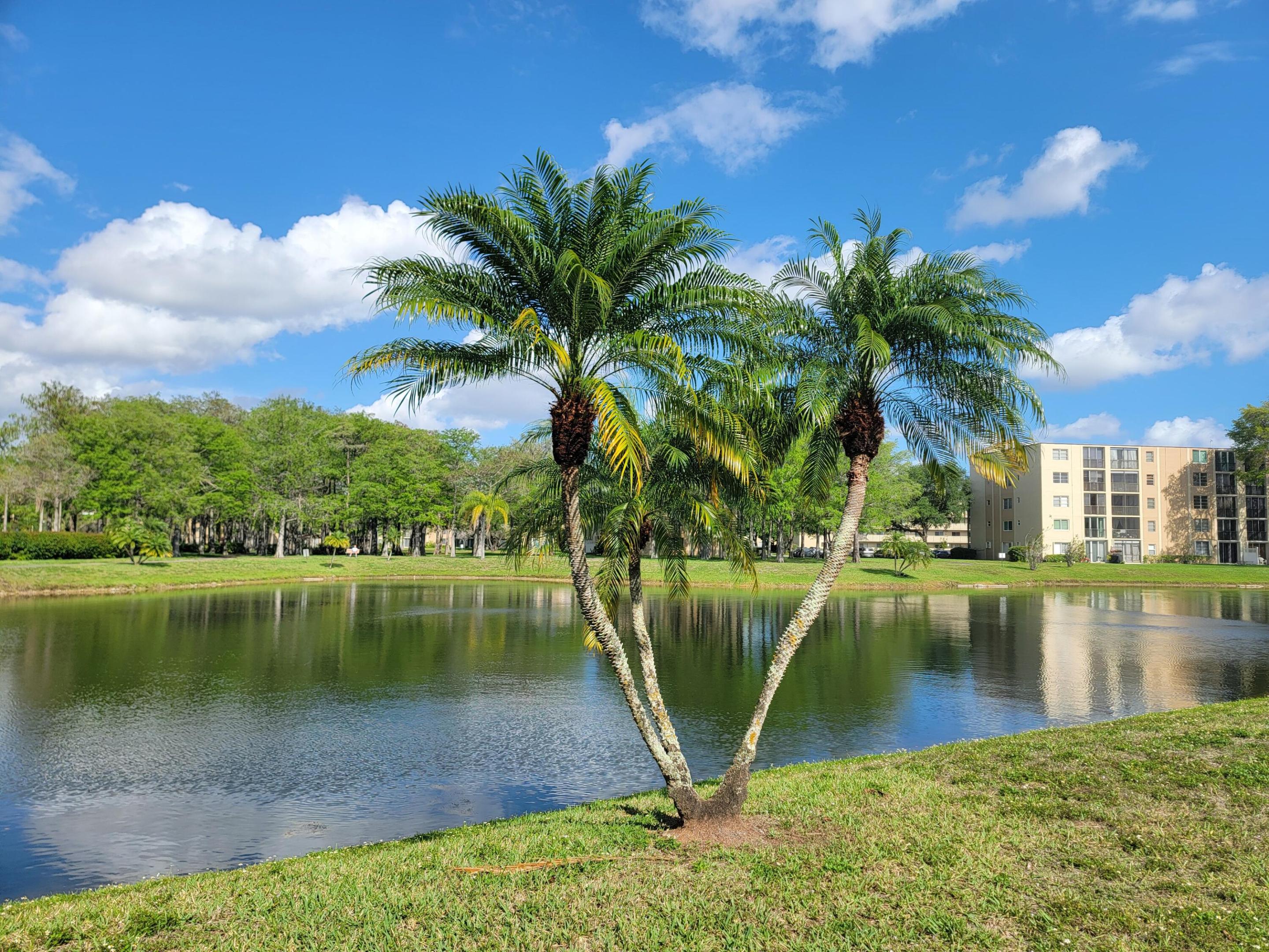 CASCADES OF LAUDERHILL - Residential Lease