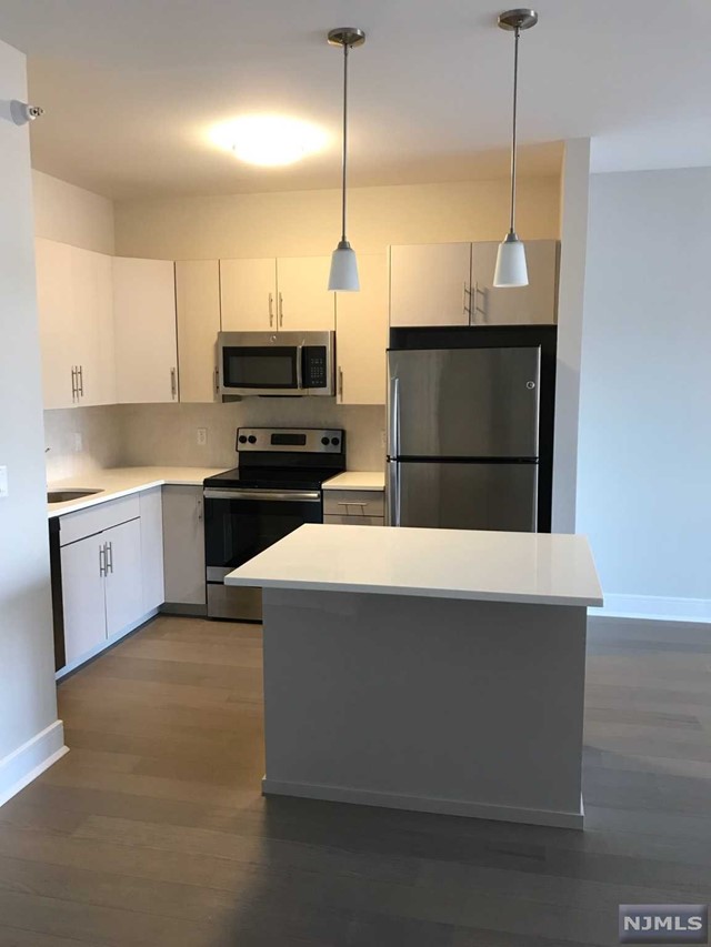 Lovely young elevator building . 2 Bedroom, 2 Bath, lovely laminate floors, washer /dry in unit. Stainless steal appliances, center island. Dishwasher, stove , refrigerator , microwave. walk in closets. custom blinds. Open floor plan. Small pet possible. Walk to shopping and transportation.