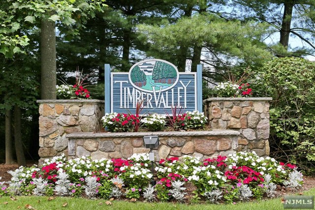Nothing to do but unpack your bags and move right in, to this light and bright beautifully updated and freshly painted 1bedroom/1bath condo. With nearly 1000 square feet of living space, features include: wide-open floor plan perfect for entertaining, updated kitchen, central air conditioning, wood burning fireplace and outdoor terrace overlooking a serene natural landscape. Pet friendly with a gorgeous outdoor community pool and convenient to shopping, restaurants, Ramapo reservation and transportation to NYC. Come see why Timber Valley is a great place to call home. The ample closet space and additional large storage unit is the icing on the cake!