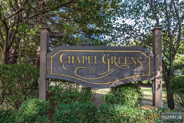 Welcome to this wonderfully decorated 3 bedroom, 2.5 bath townhome in desirable Chapel Greens, where every unit is an end unit!! The Cathedral ceilings flood this home with natural light. Kitchen has breakfast area with big windows and an enclosed closet with W/D. The entry foyer leads to a Large Dining Area & Sunken Living Room, both with cathedral ceilings & HW Floors with Floor-to-Ceiling two sided Stone gas Fireplace. You will find a 25+ foot Family Room on the other side of the Fireplace with sliding doors to patio overlooking an expansive backyard. Second Floor offers a Master Bedroom with Cathedral Ceilings, walk-in closet, additional closet and updated ensuite bath with Tub and shower. Upstairs you will also find 2 additional bedrooms with Ample Closets and a main Hall bath. There is additional storage in the basement which can easily be finished if one desires. The one car garage has extended storage and one driveway parking space.This is a home you will not want to miss!