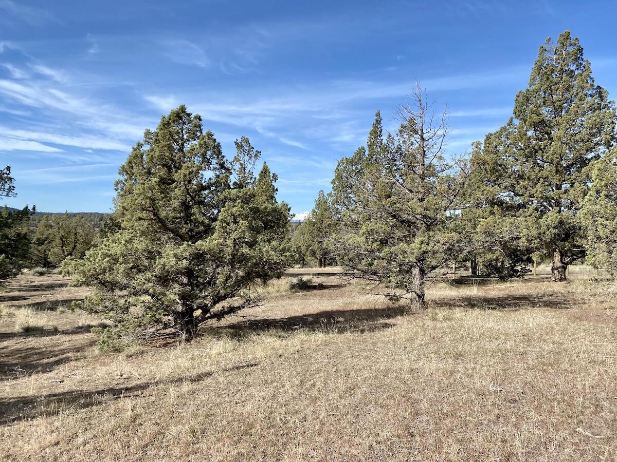 Crr - Land