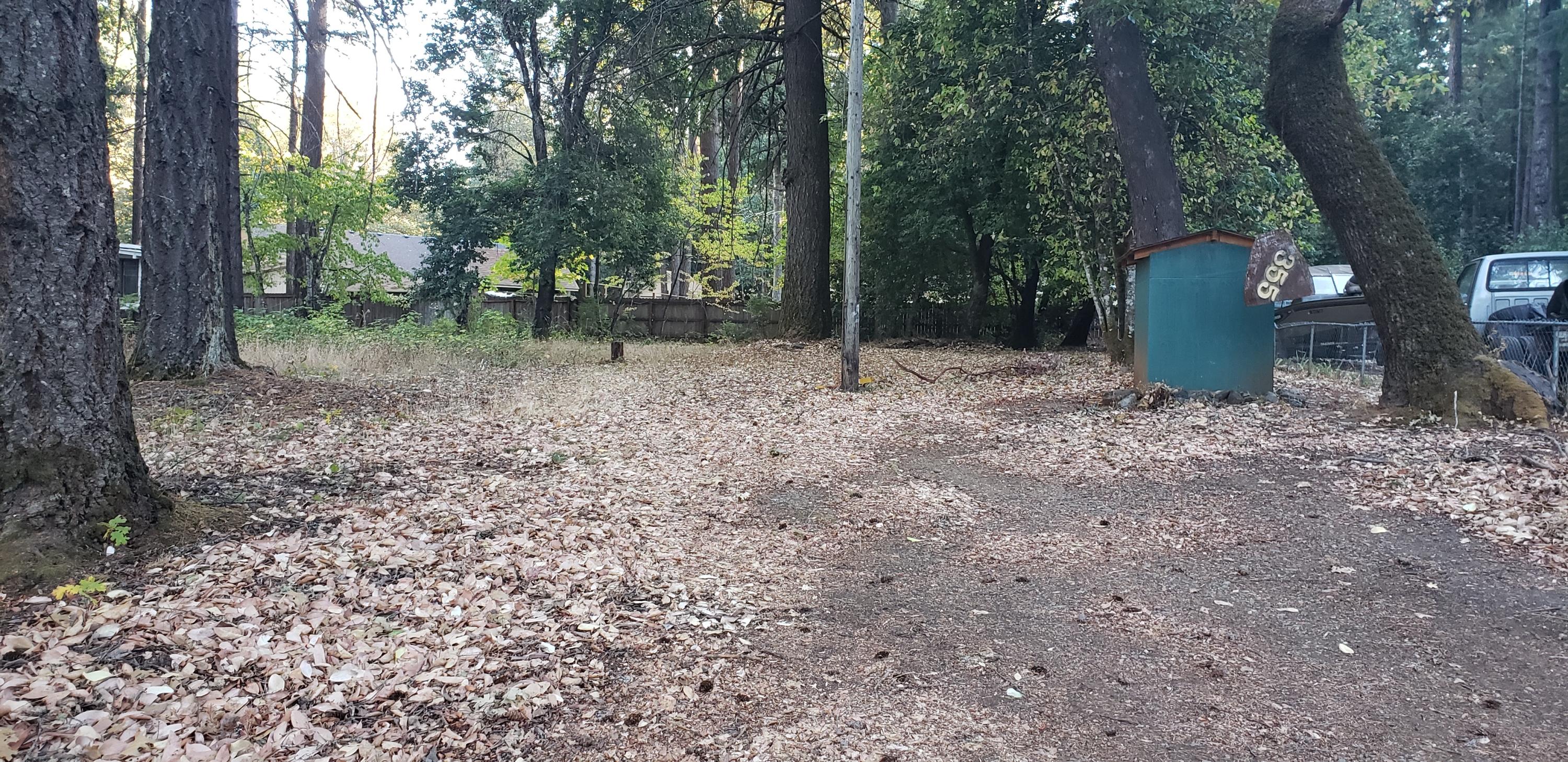 Pretty, level lot, with large, tall firs and other shade trees. Already has well (shared 35 gpm when drilled)  and septic system installed. Power very close by. partially fenced. Access is a county road, not maintained. This lot had a mobile home on it years ago, no longer there.  Close to the City of Cave Junction, but in the County.