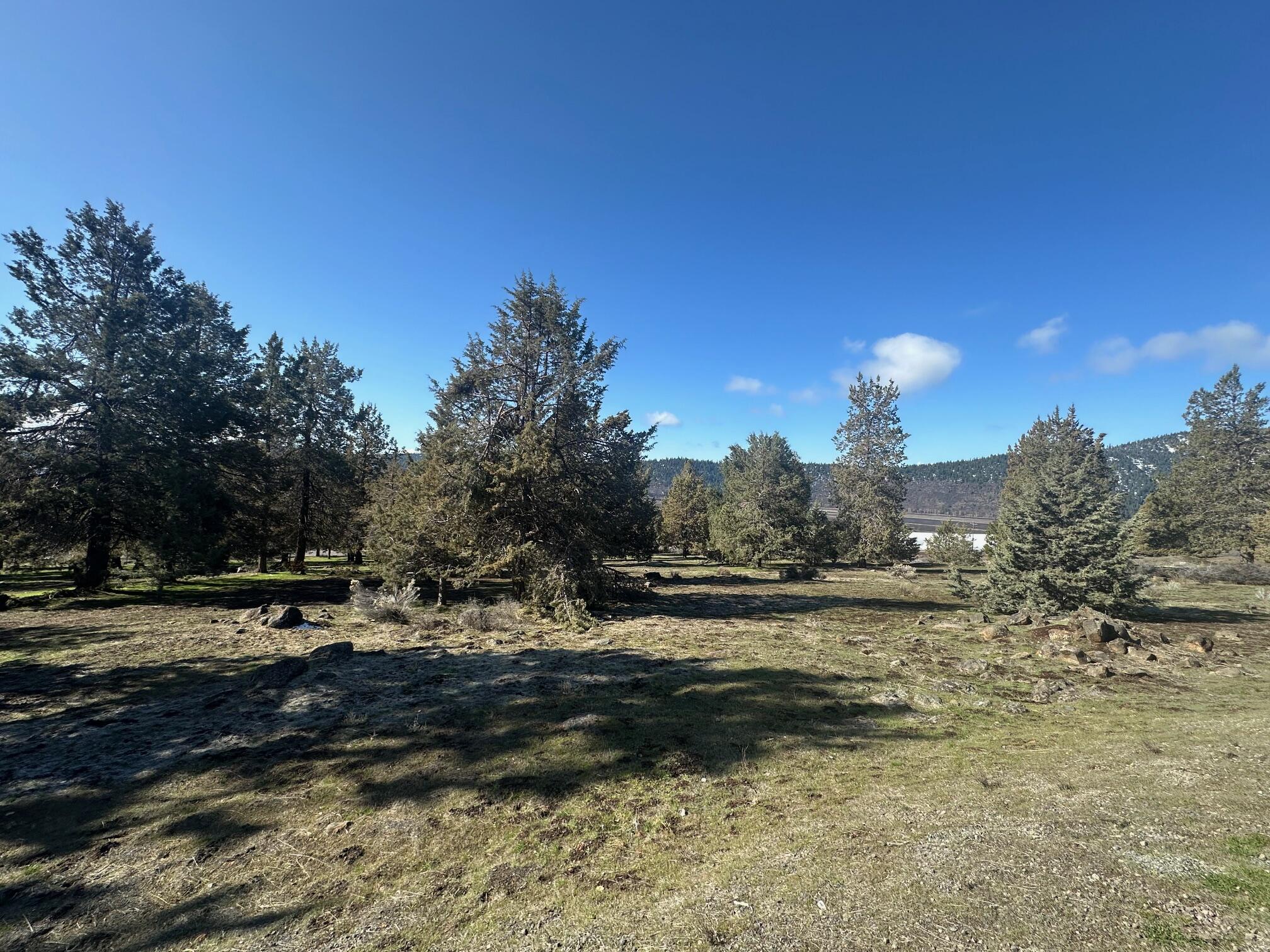 Semi level lot at the beautiful Running Y Ranch Resort! This south facing lot is nicely treed, with some lovely mountain views and plenty of sunshine. Come take a look and scope out your new homesite!