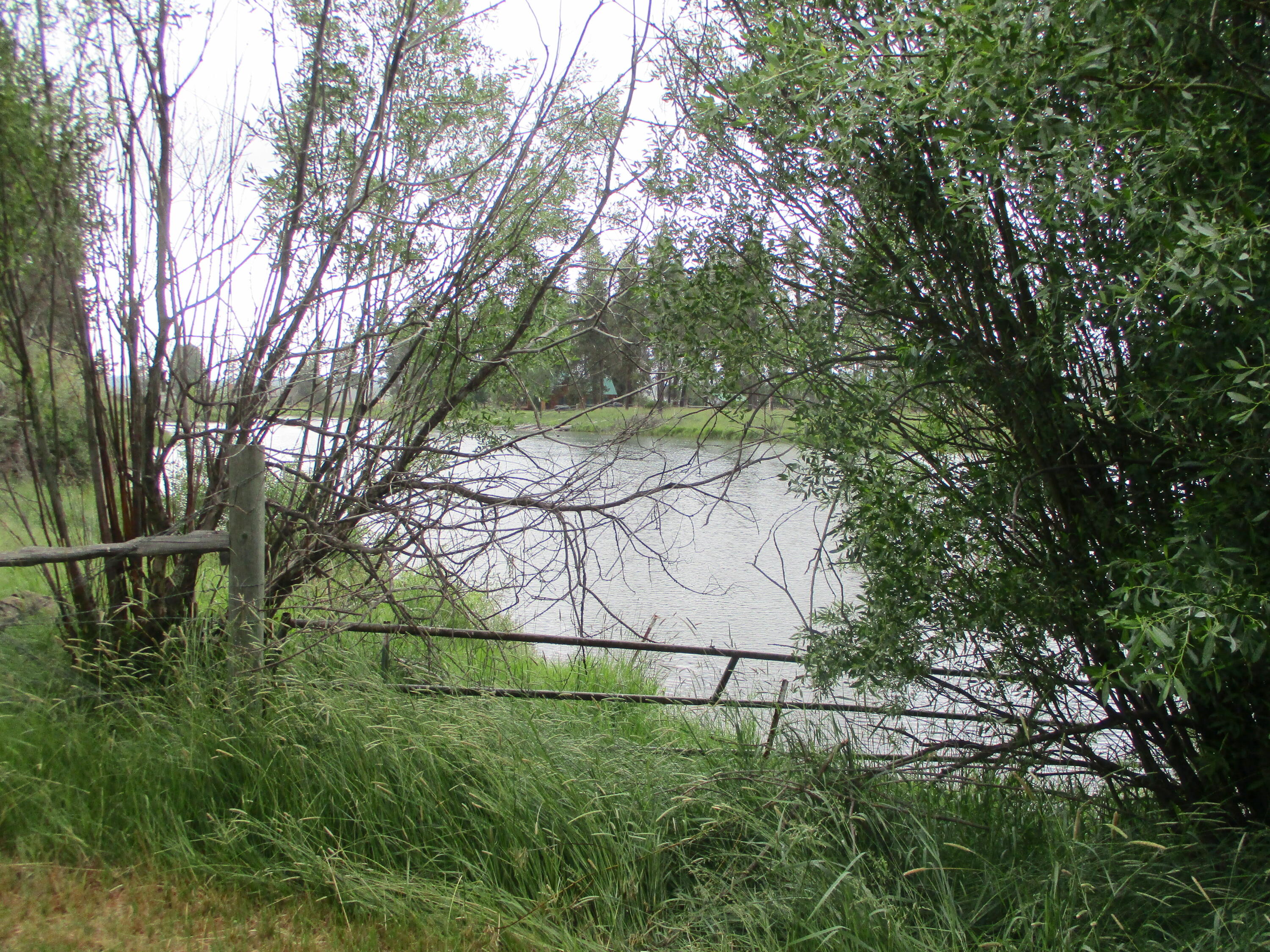 Rainbow Park On The Williamson - Residential
