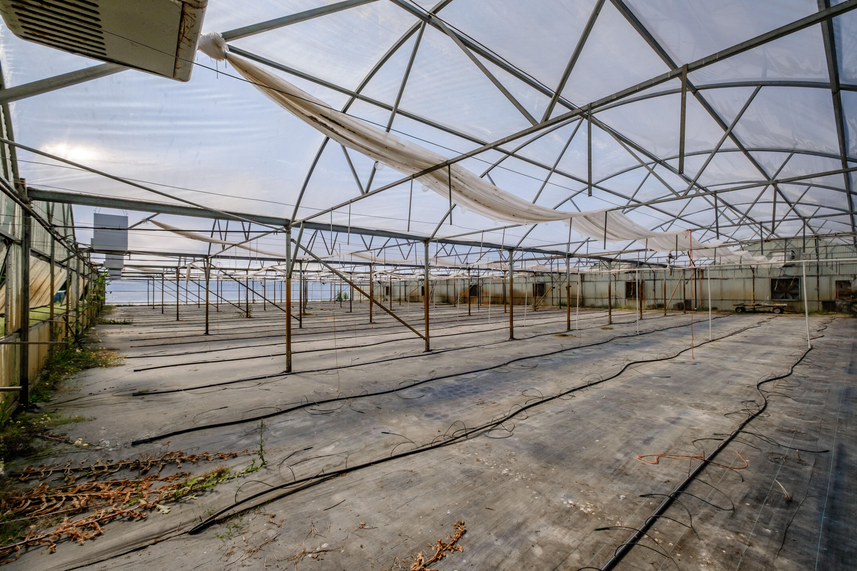 N/A - Farm
