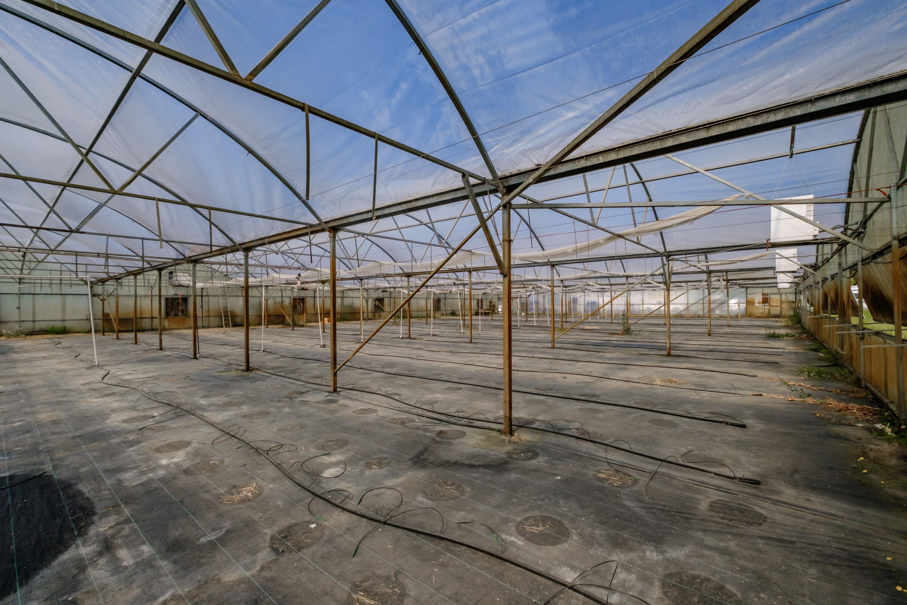 N/A - Farm