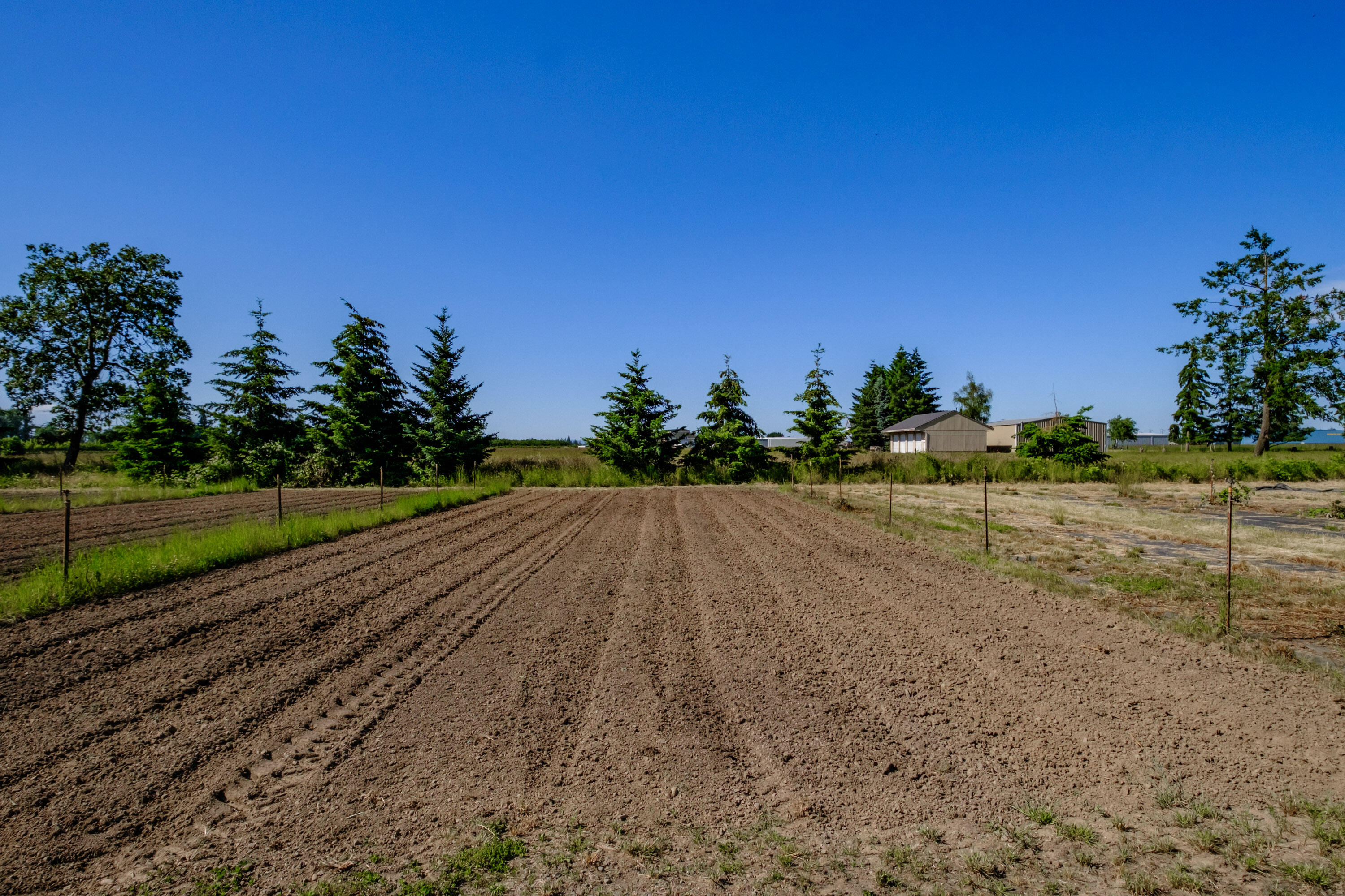 N/A - Farm