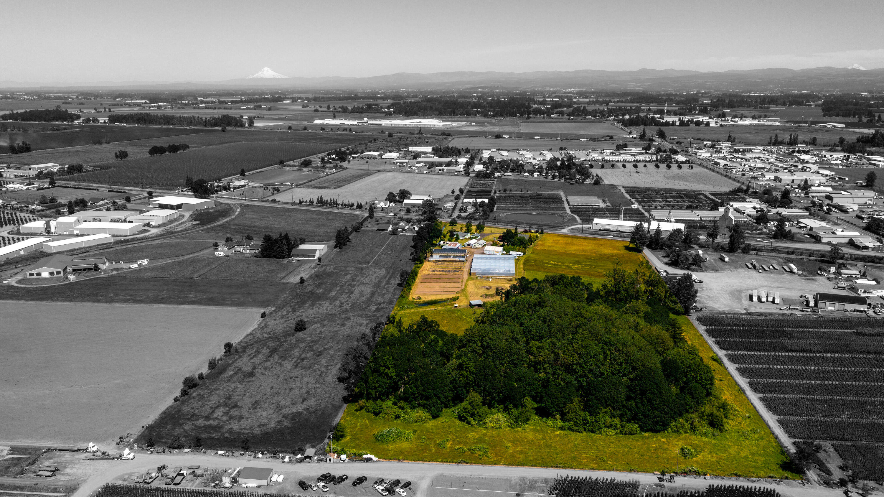 N/A - Farm