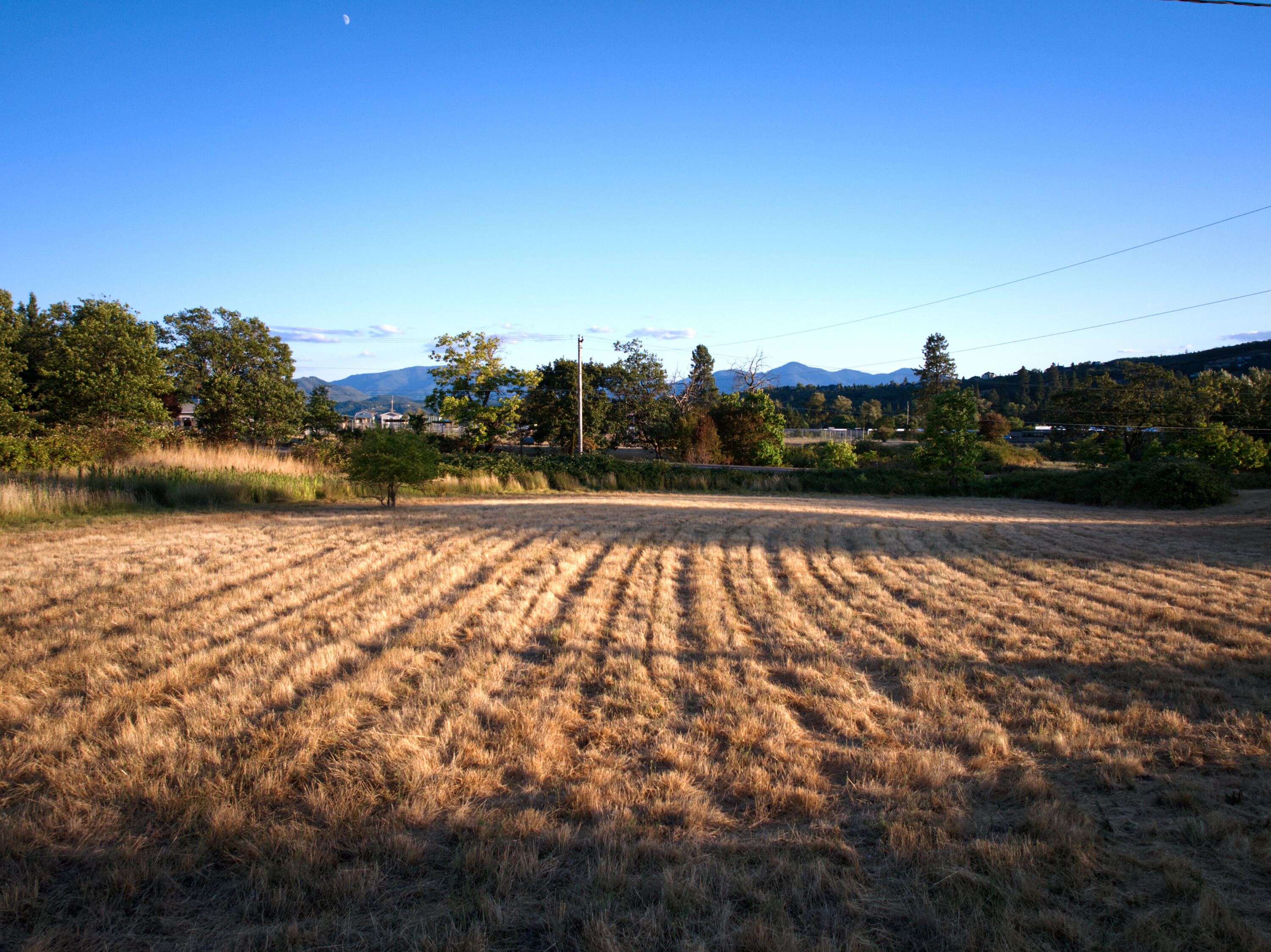 Hard to find 1 acre parcel with mountain views.  Enjoy the local wildlife; plant a garden or let your horses graze.  Build a new home here; convenient location; close to shopping, town and has District 7 Schools.
Take a look and explore your options.