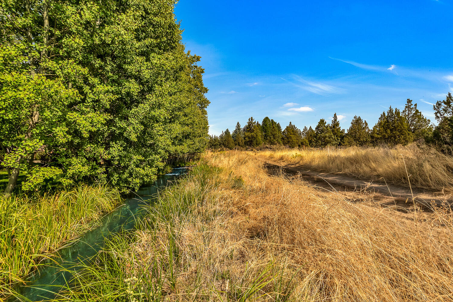 Quail Ridge - Land