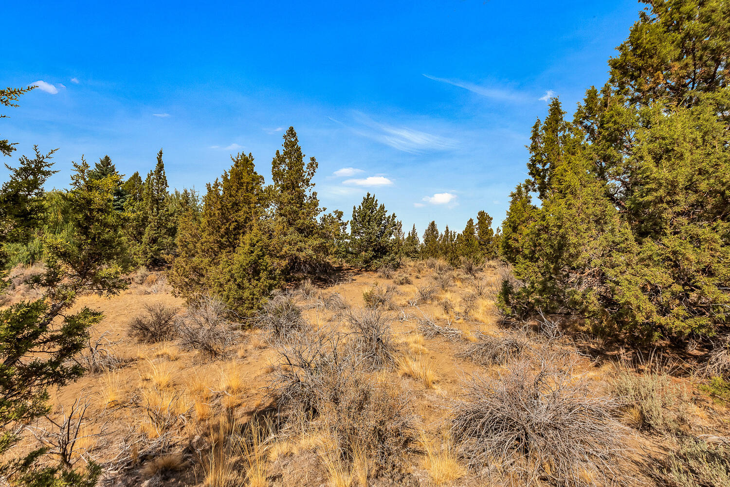 Quail Ridge - Land