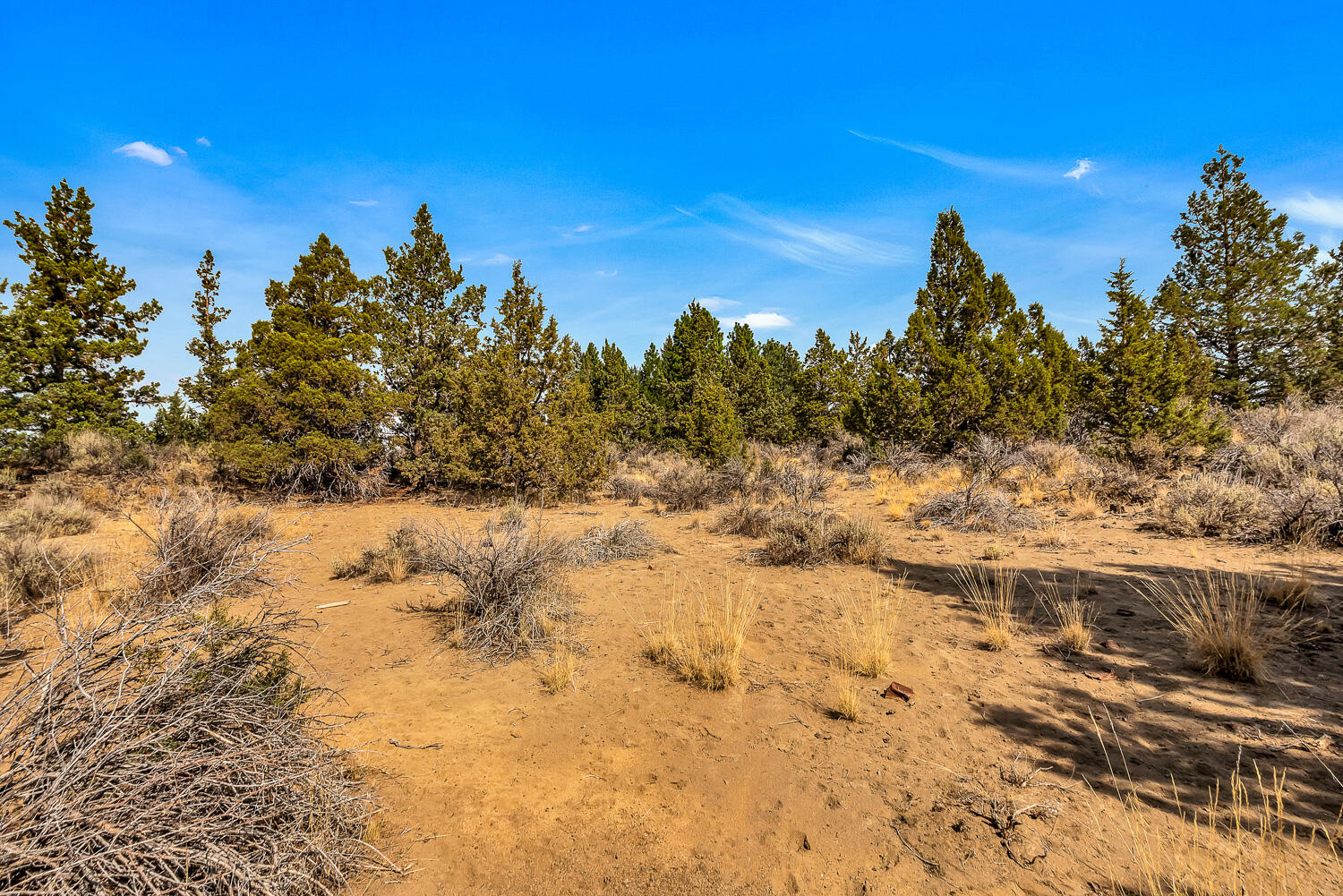 Quail Ridge - Land