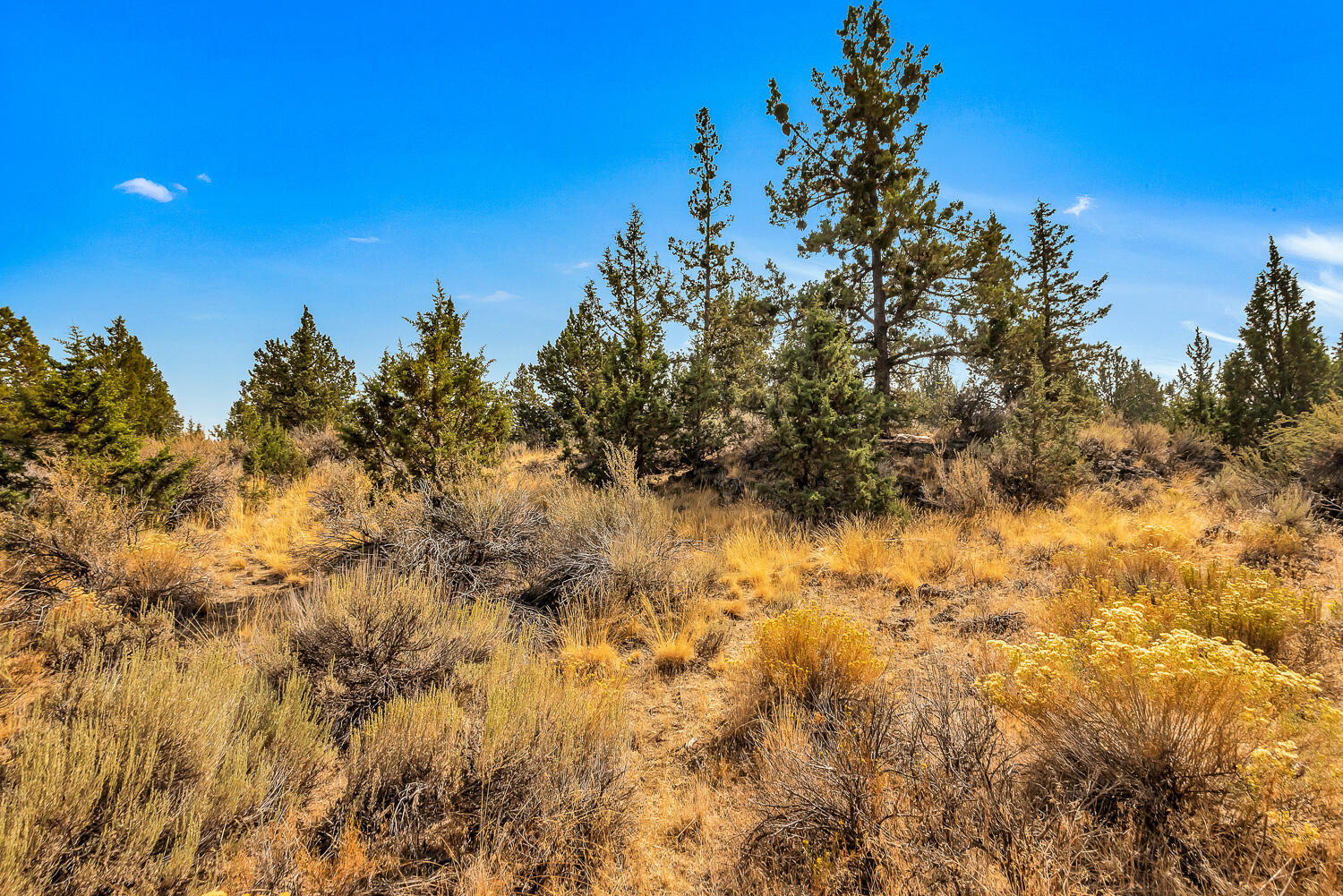 Quail Ridge - Land