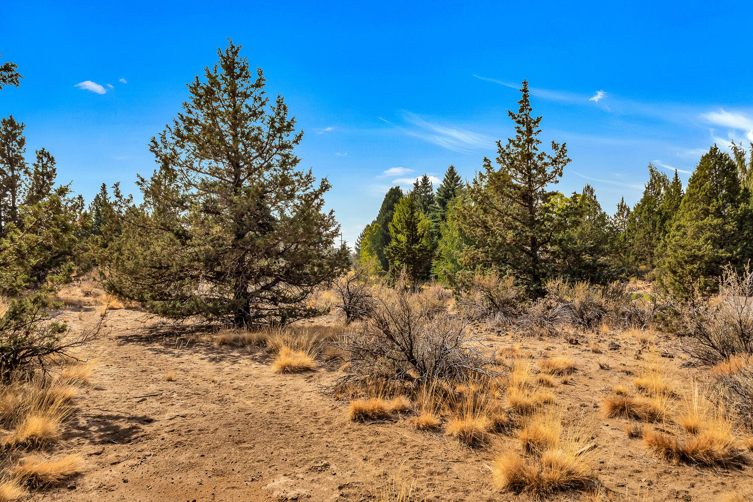 Quail Ridge - Land