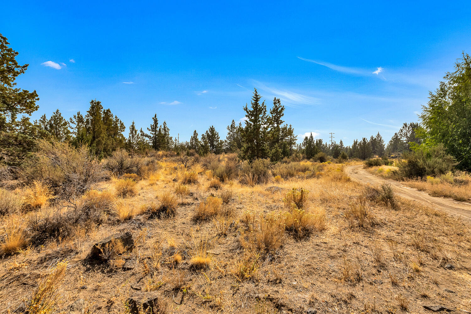 Quail Ridge - Land