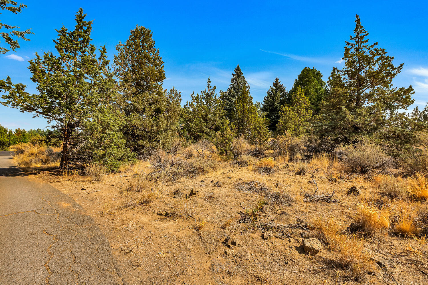 Quail Ridge - Land