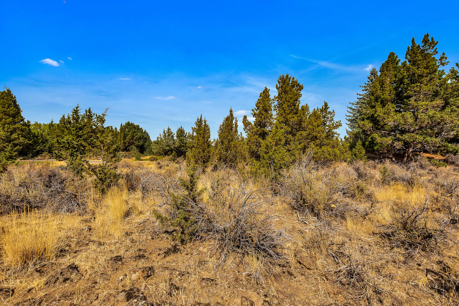 Quail Ridge - Land
