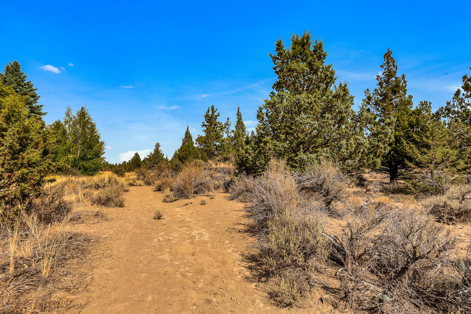 Quail Ridge - Land