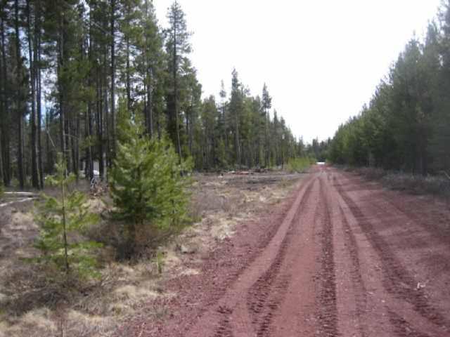 Pine Covered Parcel With Good Cinder Roads Power And Phone At Road Great Location Between Klamth Falls And Bend Map Says Sand Creek Actual Site Says Cloud Cap