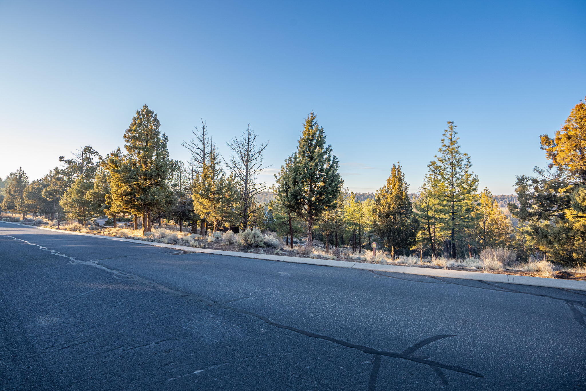 North Rim - Land
