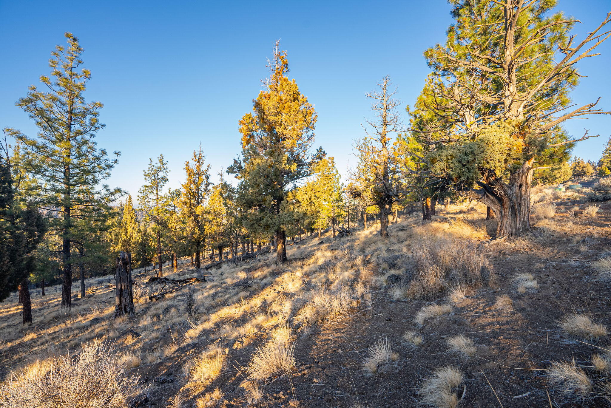 North Rim - Land