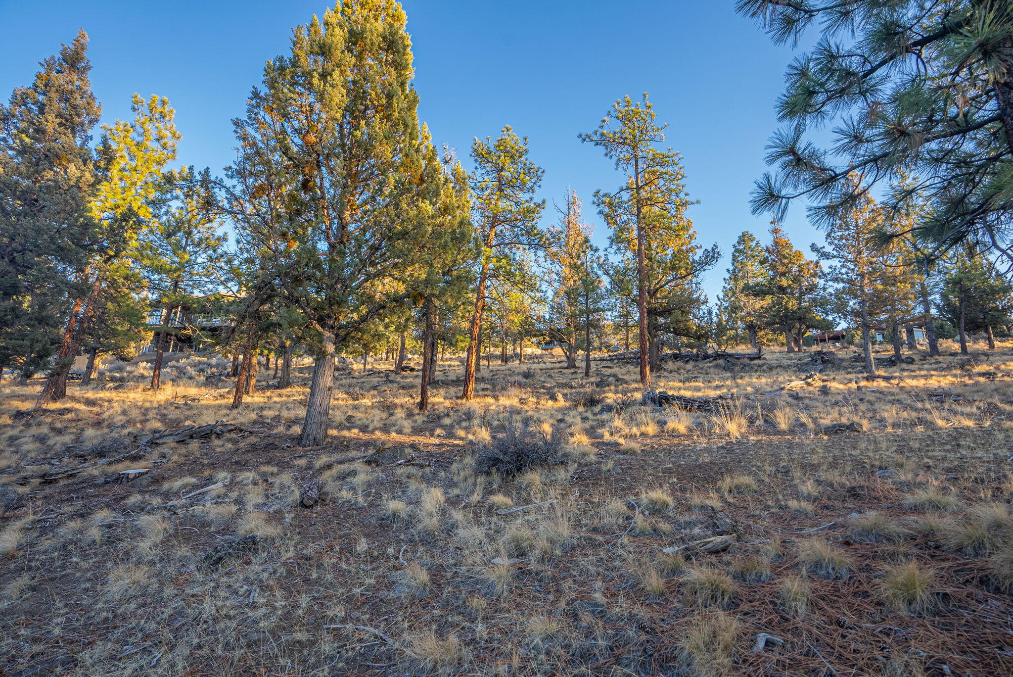 North Rim - Land