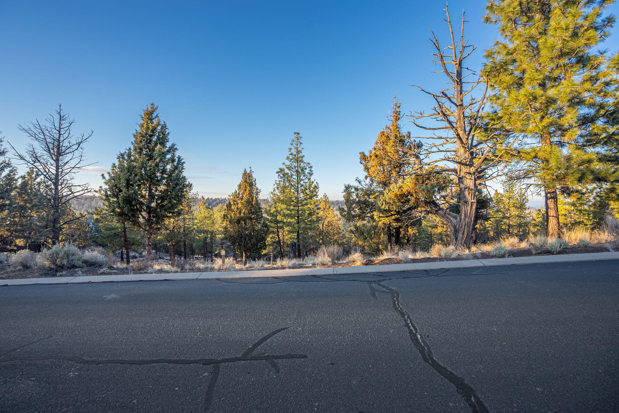 North Rim - Land