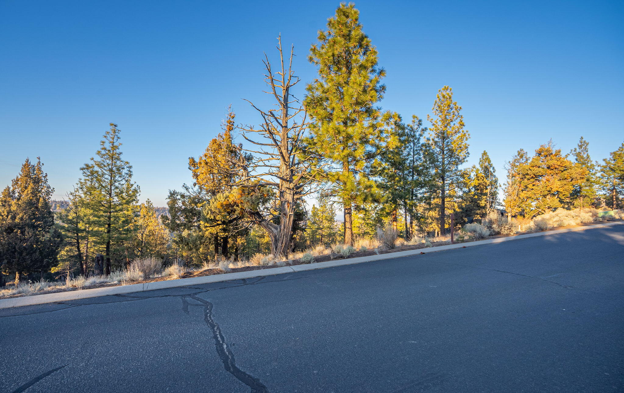 North Rim - Land