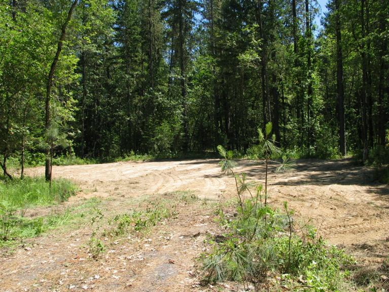 Level, treed lot with well, pad & driveway in. Good well report and standard septic approved Quiet country setting just a short, scenic drive from town. Past of the desirable Kendallbrook Meadows Subdivision. Great tree mix. Seller can build your dream home or use your favorite builder. Seller may finance the property for the buyer.