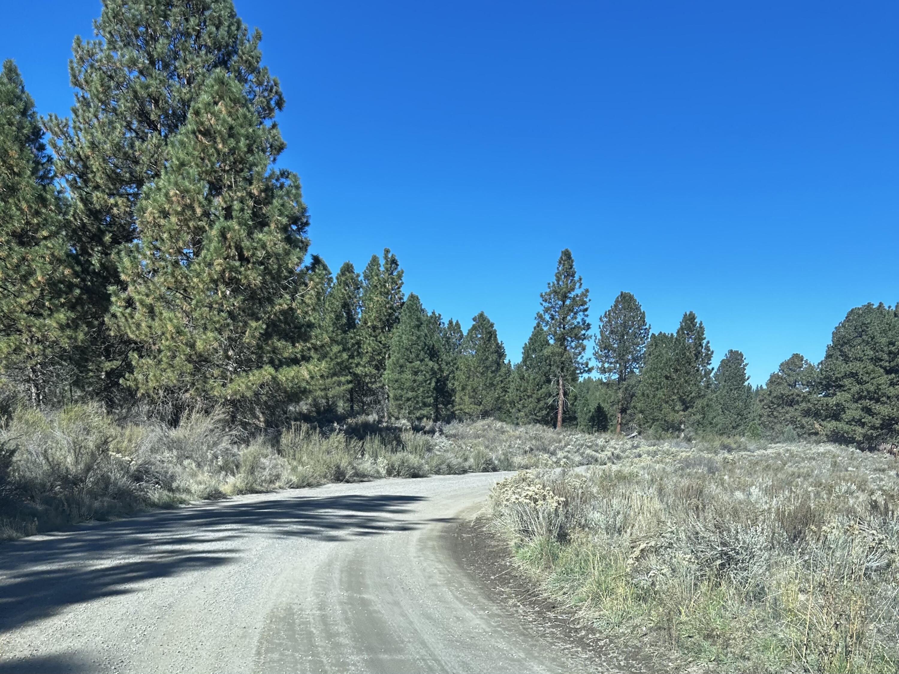 Oregon Pines - Land