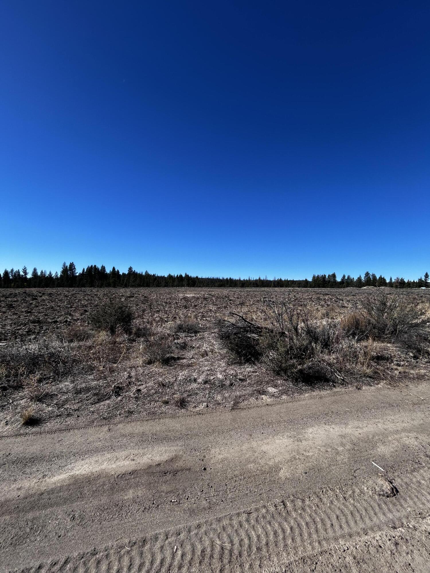 Oregon Pines - Land