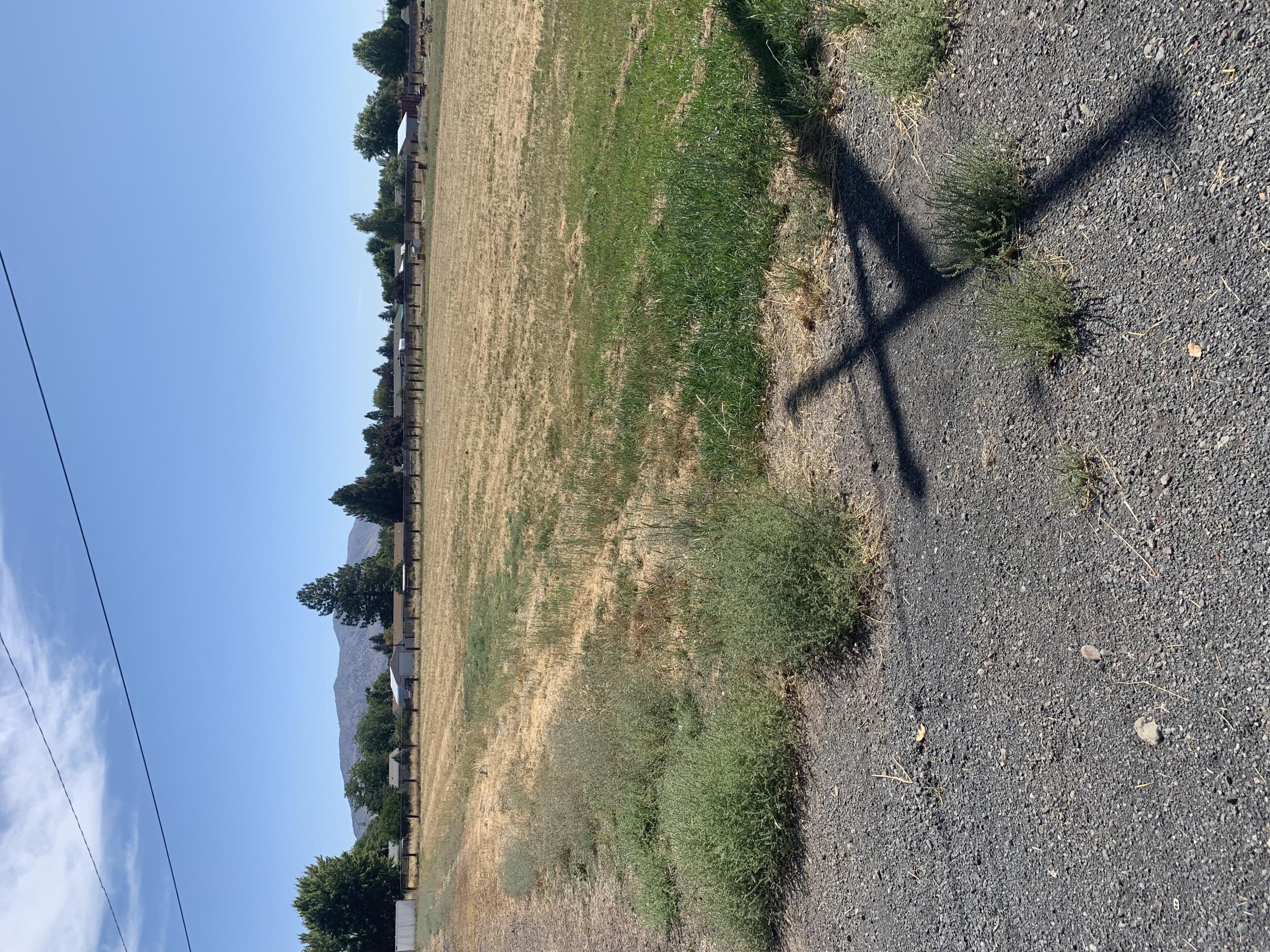 Tract 1358 - Land