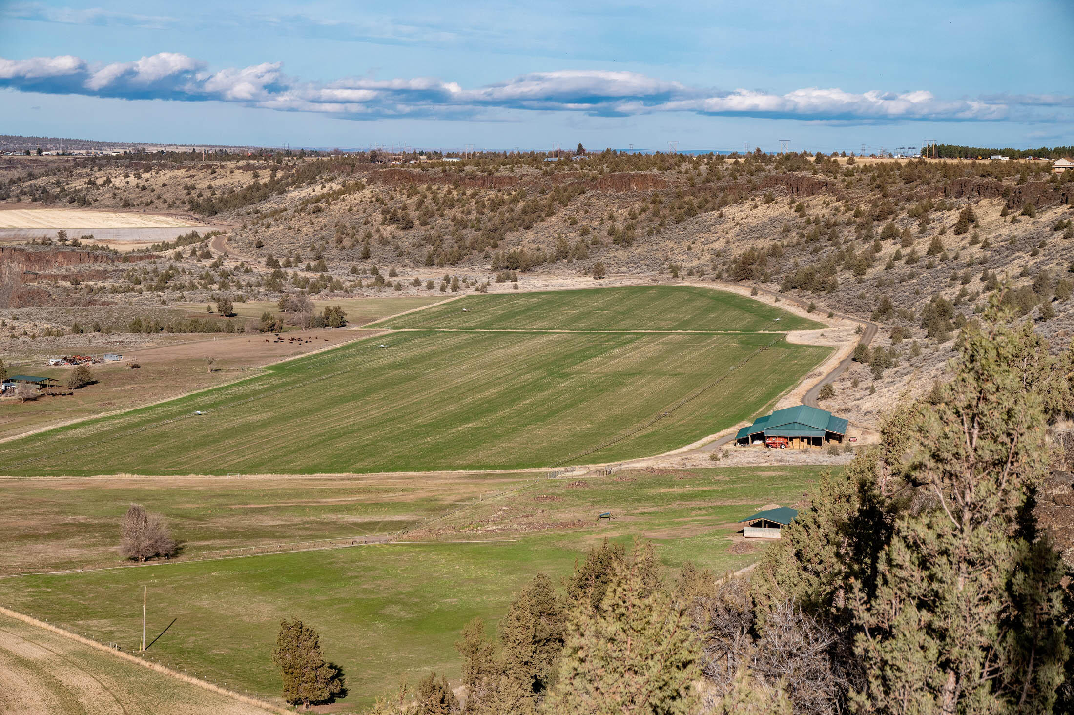 M+BJC - Farm