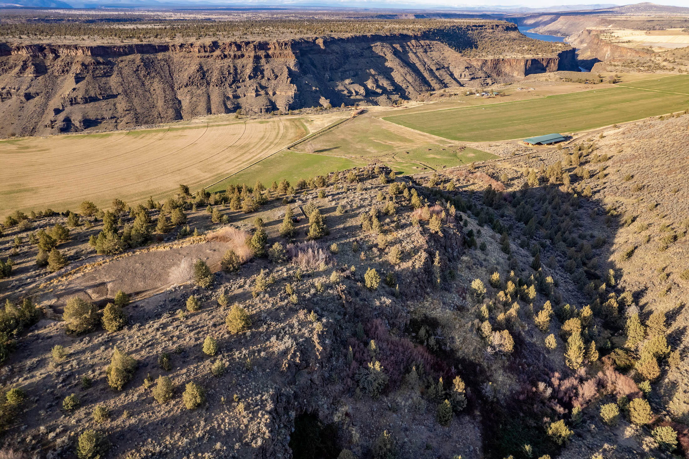 M+BJC - Farm