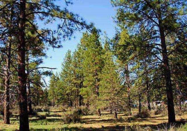 Tree covered parcel just off the paved road, very little through traffic, ideal location for a home or vacation cabin.