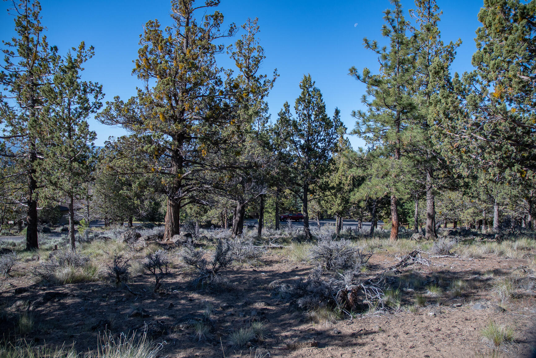Awbrey Butte - Land