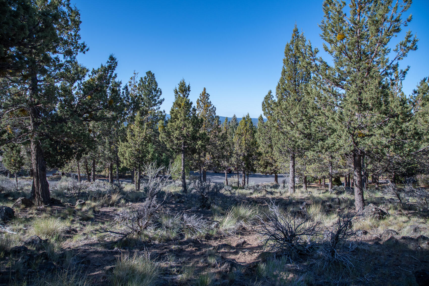 Awbrey Butte - Land