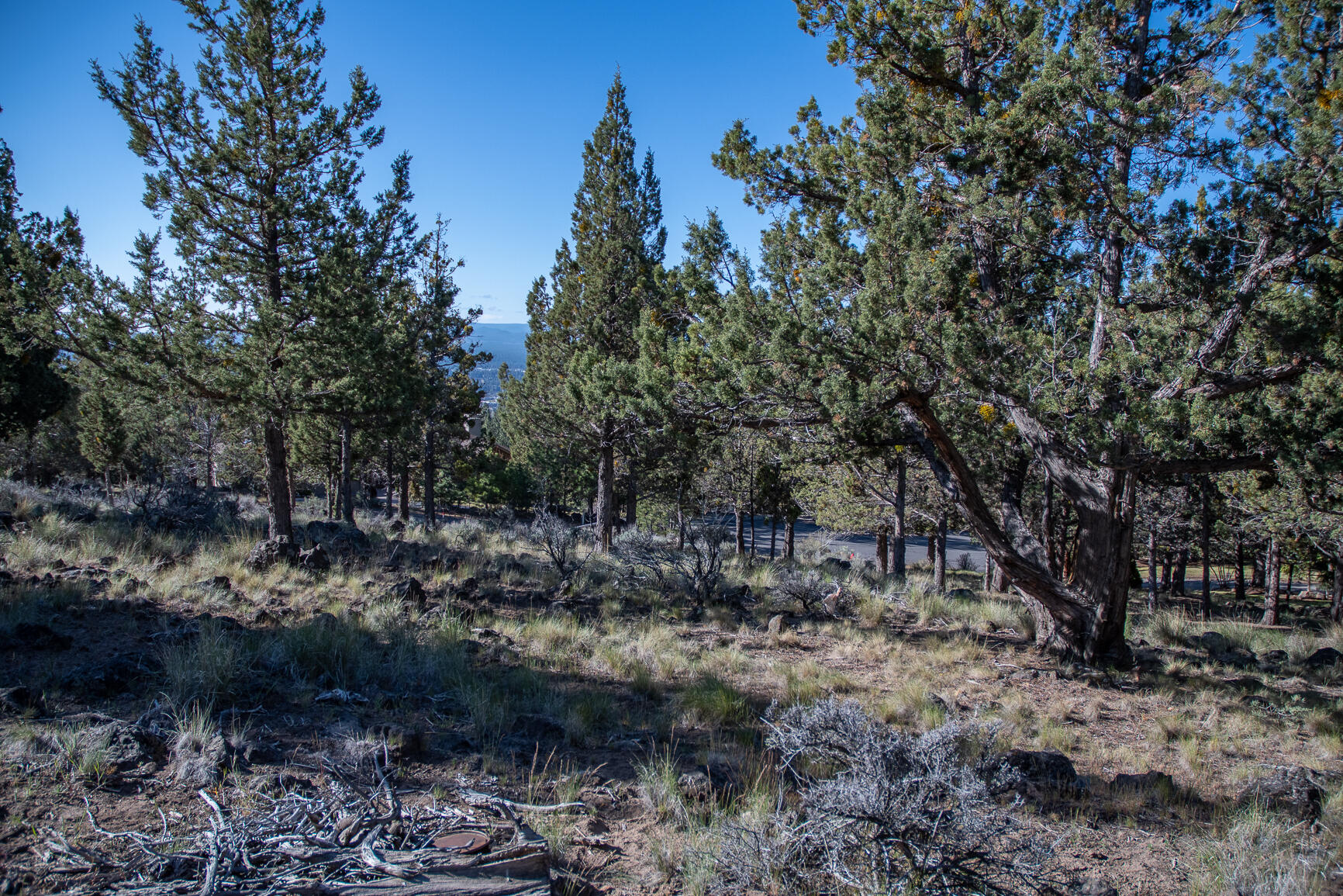 Awbrey Butte - Land