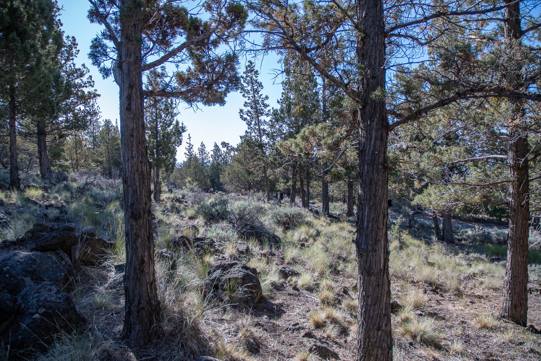 Awbrey Butte - Land