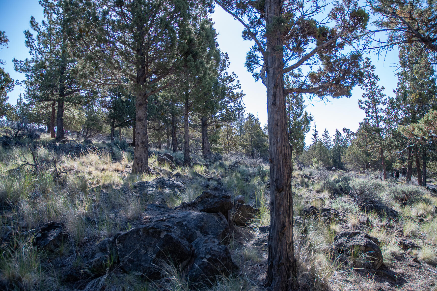 Awbrey Butte - Land