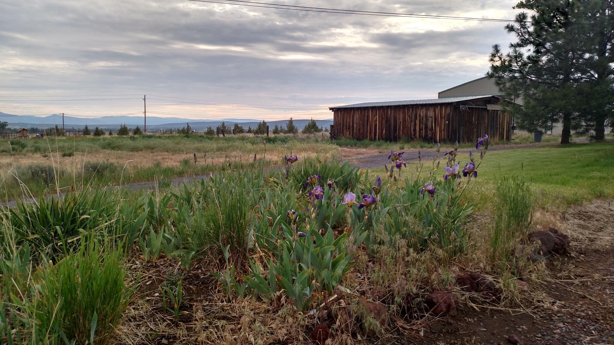 Red Cloud Ranch - Residential
